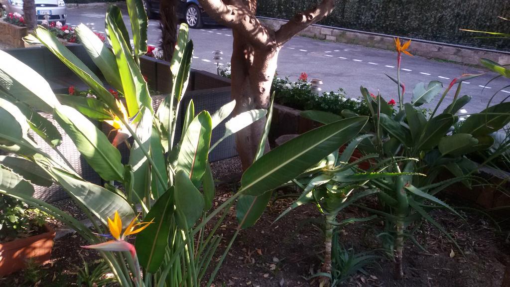 Hotel La Scogliera Bordighera Ngoại thất bức ảnh